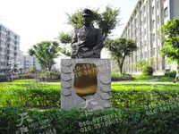 杨业功